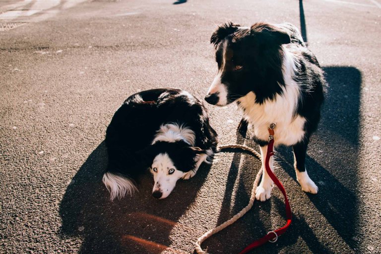 04272015 Italy to England_9024