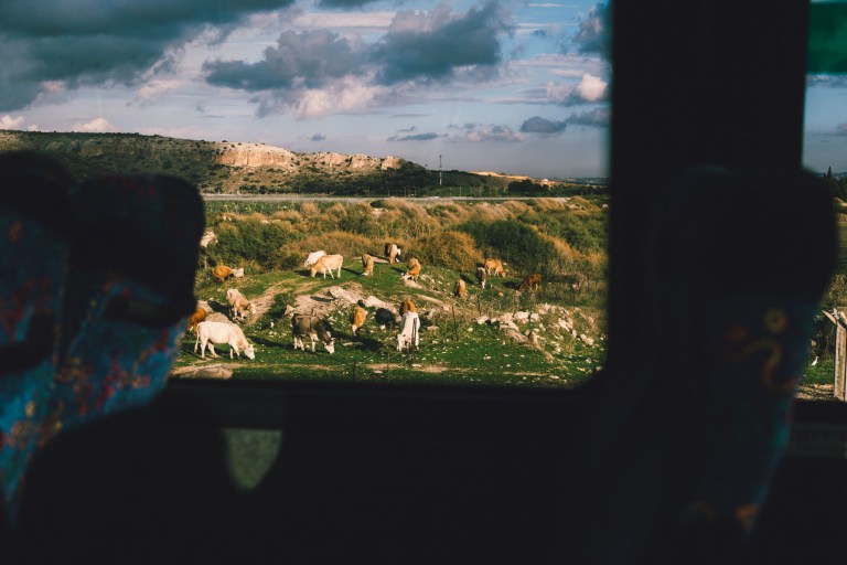 11162014 Israel_0959