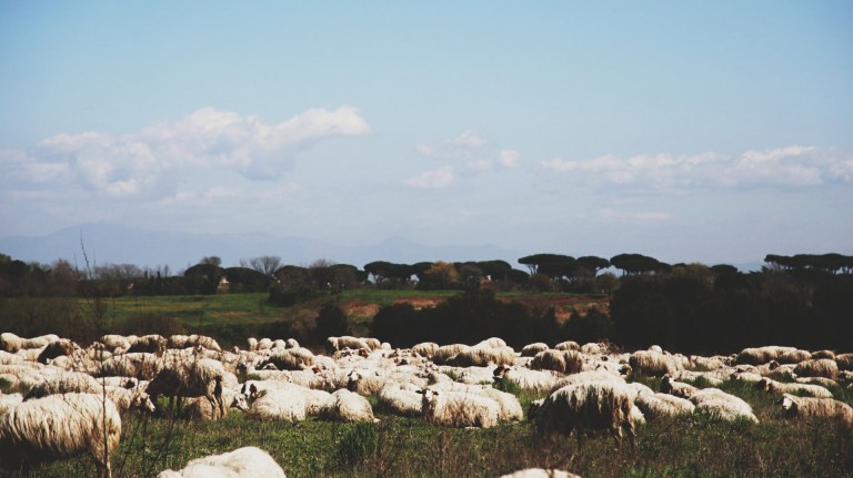 Processed with VSCOcam with 5 preset