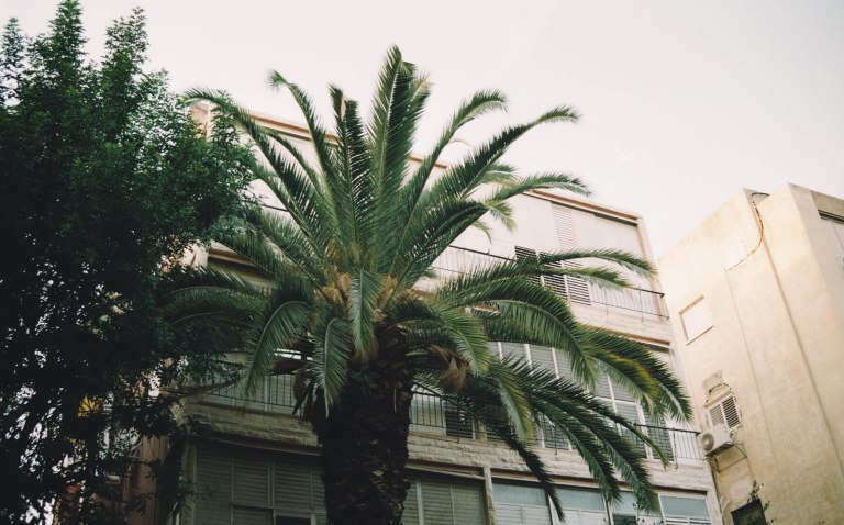 Film Israel 003016-2