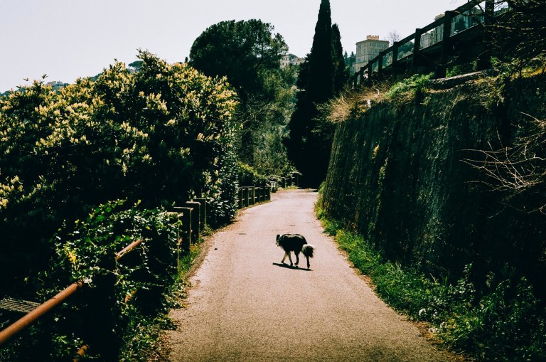 Rome_Film_6_000016870023_mqvrk8