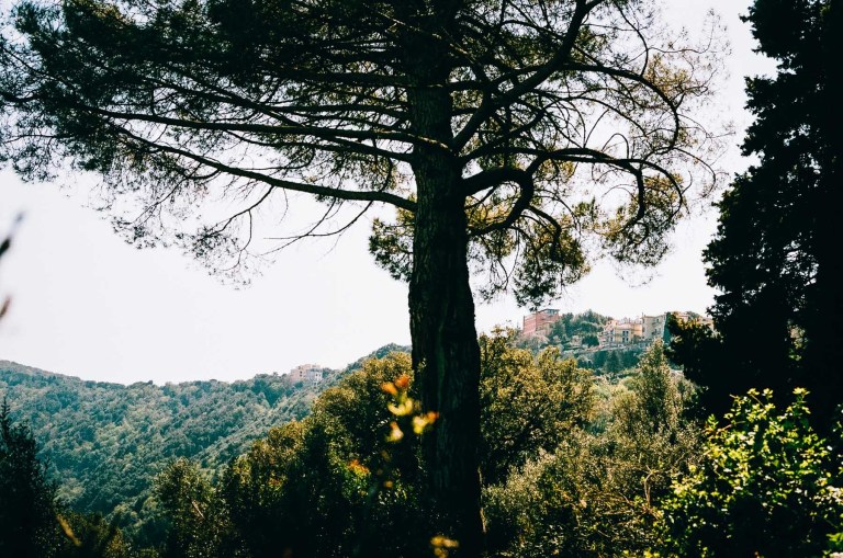 Rome_Film_6_000016870025_ol2ahx