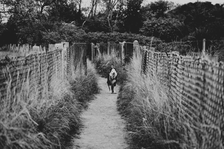 05142015 UK trip_9727