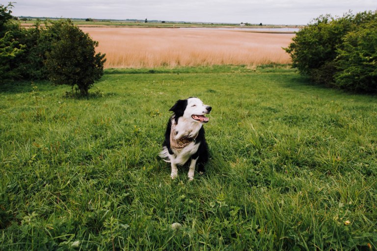 05142015 UK trip_9789