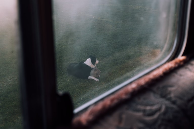 05162015 England_9825