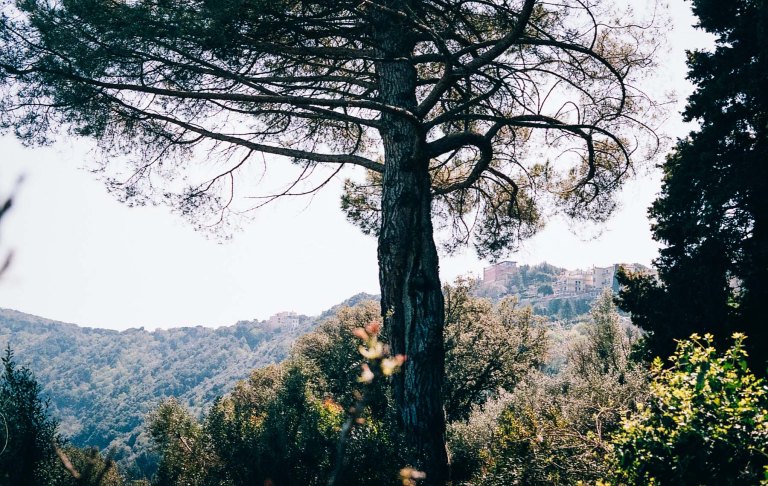 Rome Film_000016870025