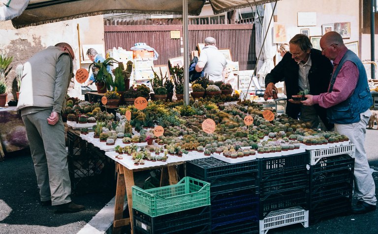 Rome Film_000016880006