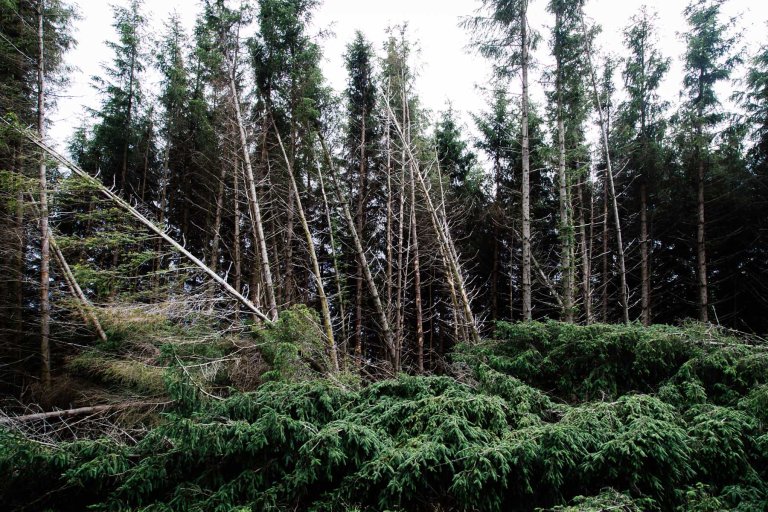 06292015 UK Trip_0984