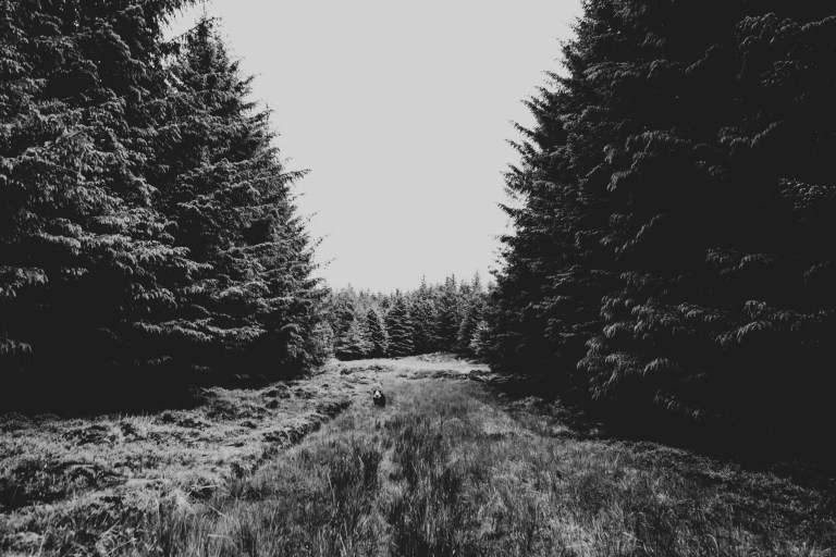 06292015 UK Trip_0986