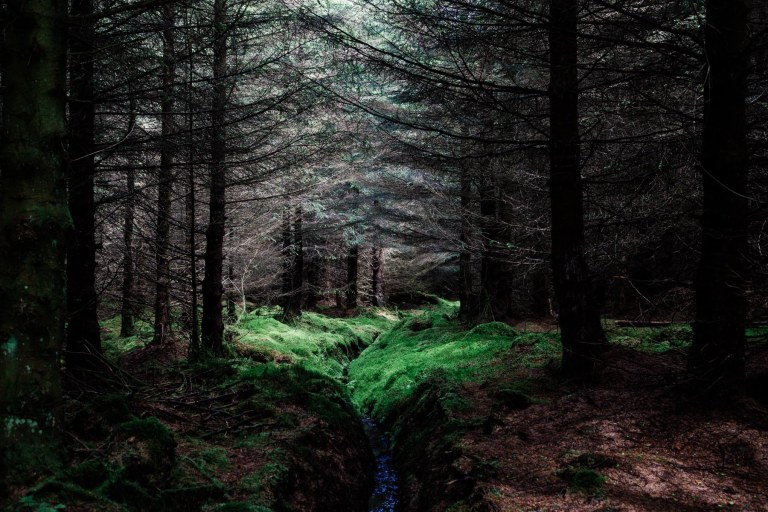 06292015 UK Trip_1022