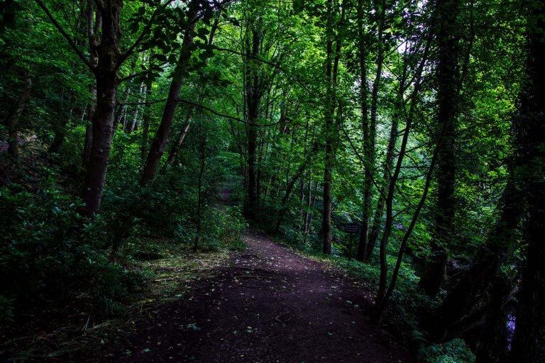 07182015 UK trip_1765