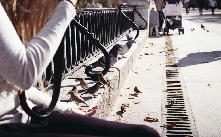 112015 Madrid Film059