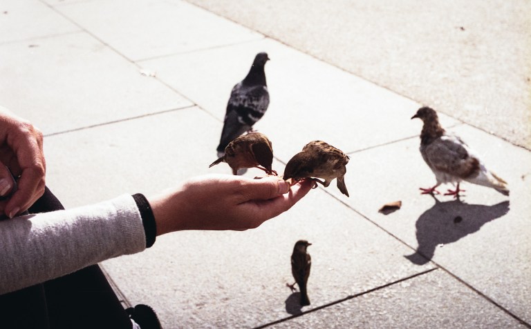 112015 Madrid Film062