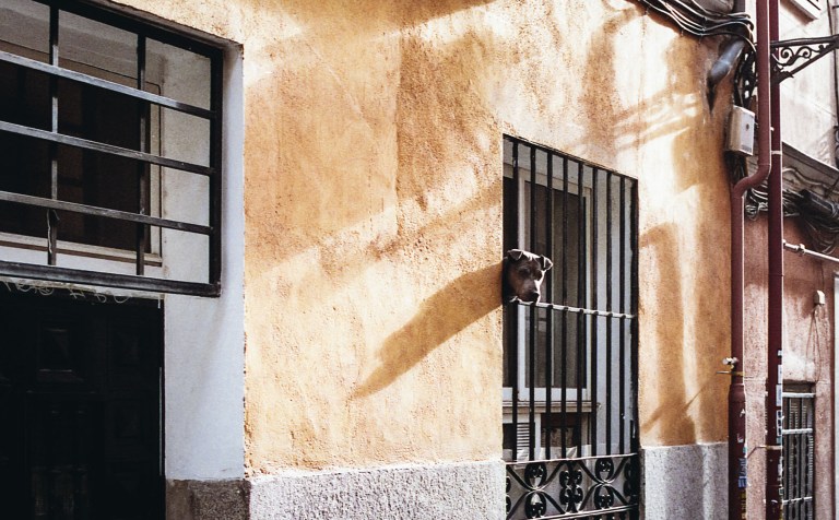 112015 Madrid Film067