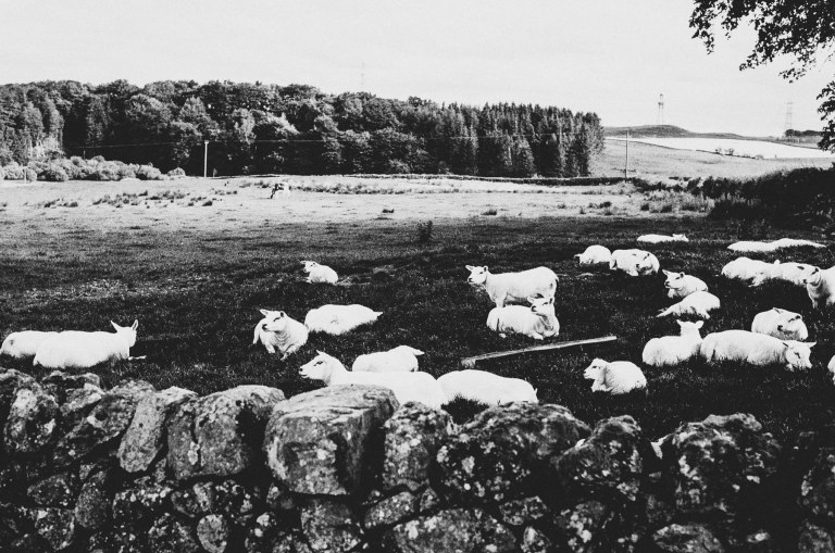 UK Trip Film_000020850029