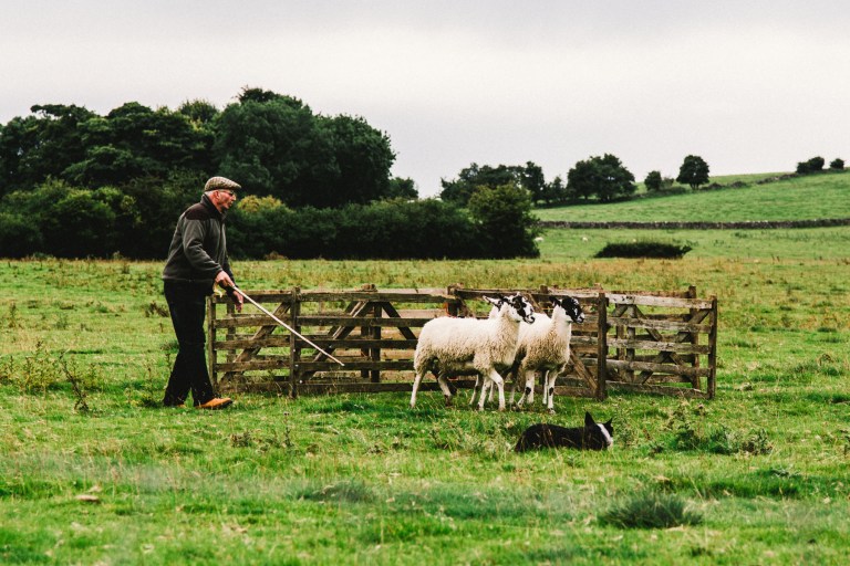 08182015 UK trip_4514