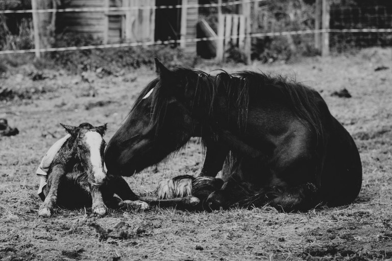 05212015 England_9976.jpg