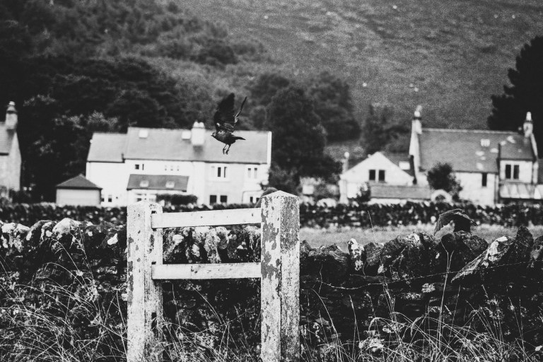 08312015 UK trip_4948