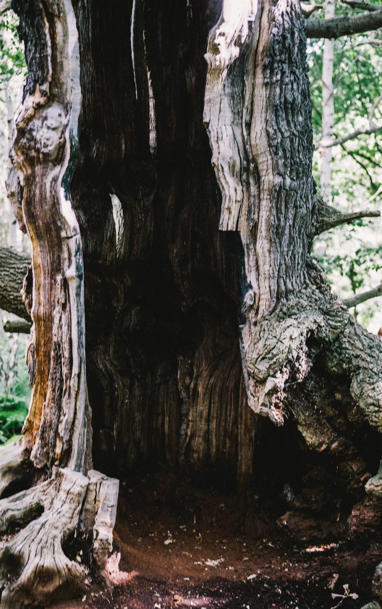 102015 UK Trip Film235