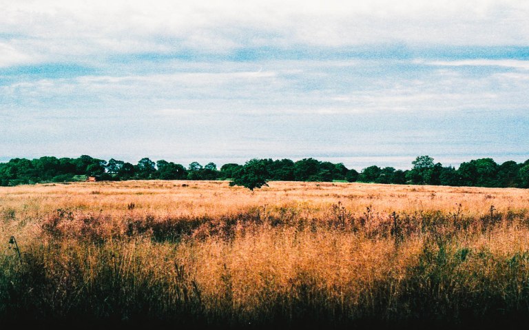 102015 UK Trip Film340