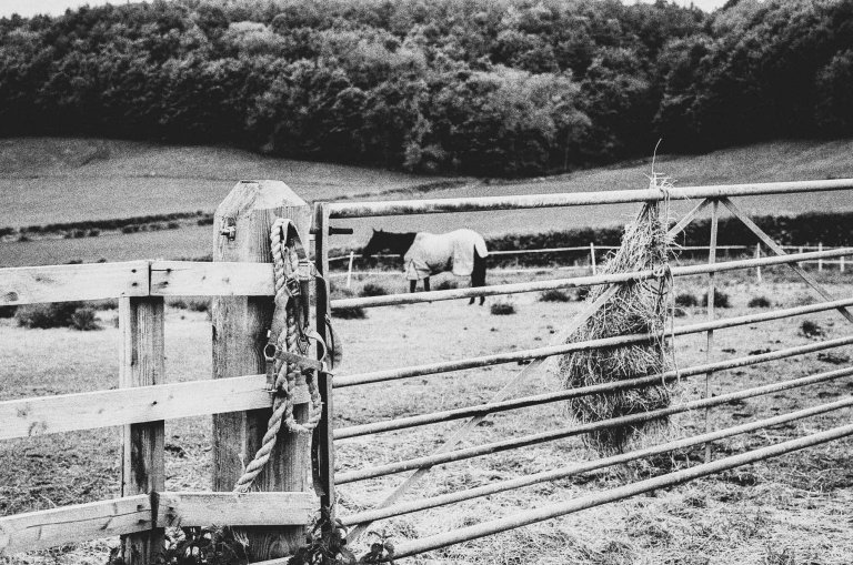 UK Trip Film_000020800017.jpg