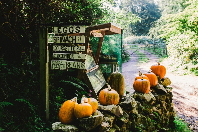 09302015 UK Trip_5951