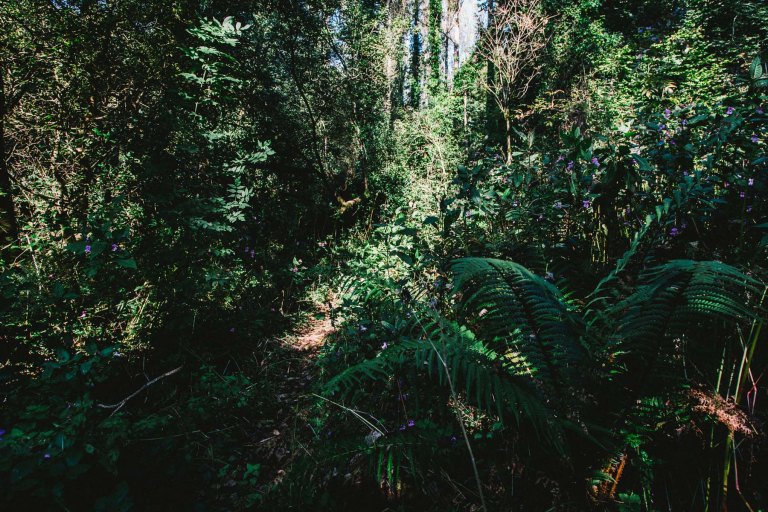 09302015 UK Trip_5995