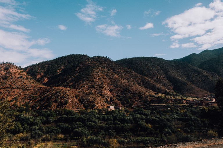 01082016 Marrakech day II_2316