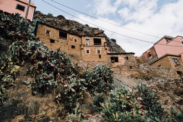 01082016 Marrakech day II_2383