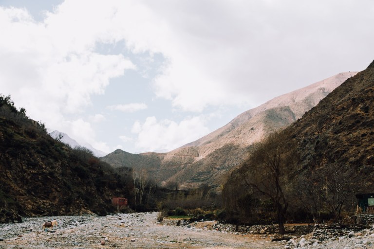 01082016 Marrakech day II_2387