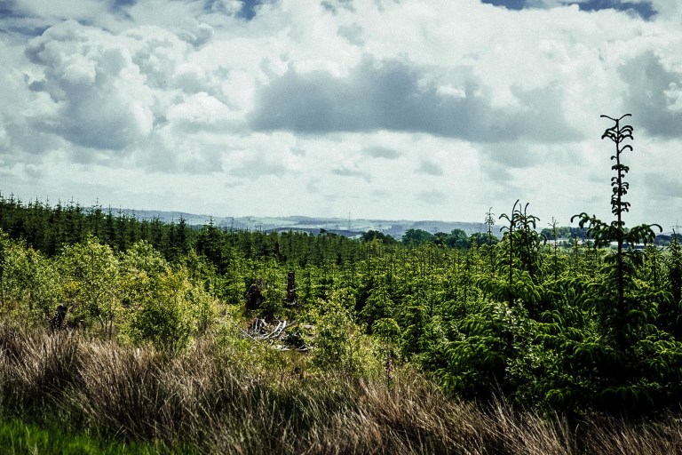 06292015 UK Trip_0857-2