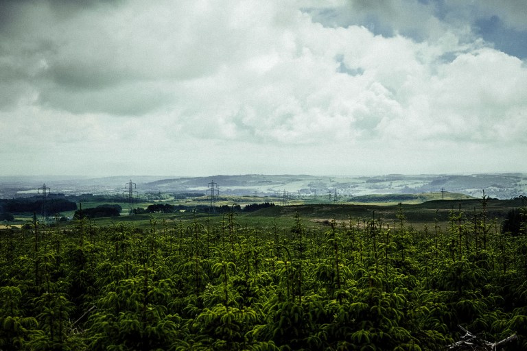 06292015 UK Trip_0896-2