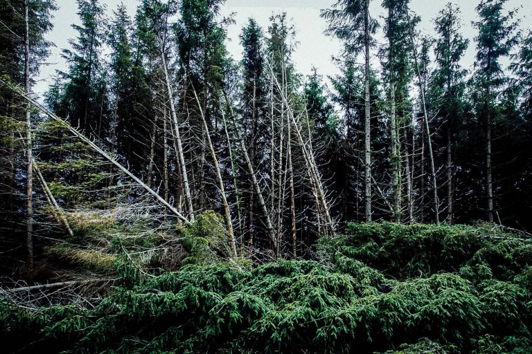 06292015 UK Trip_0984-2