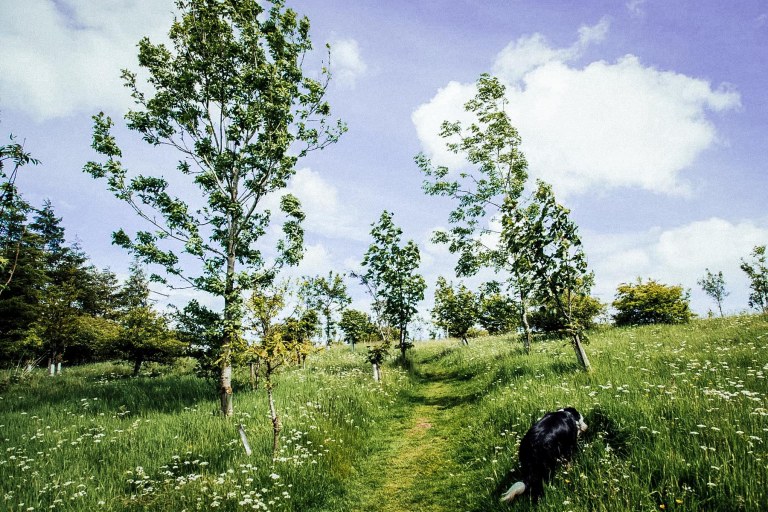 06292015 UK Trip_1060-2