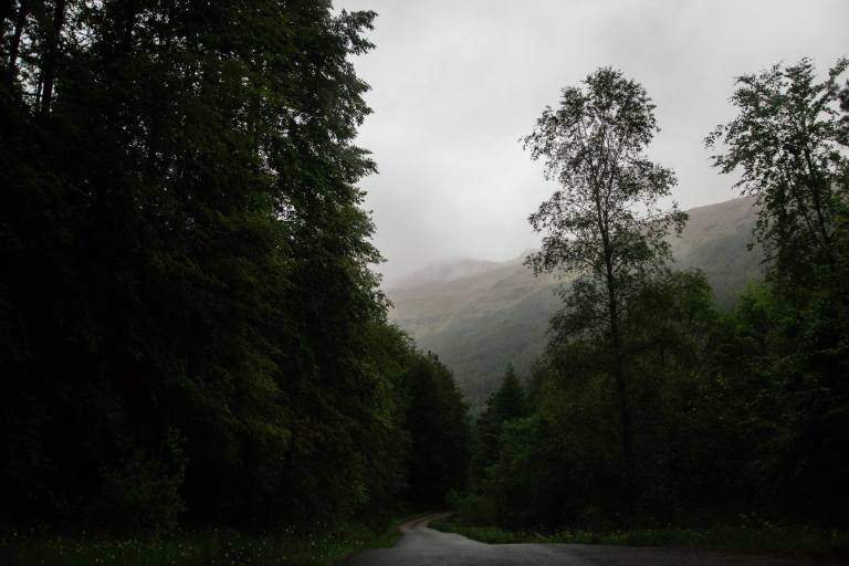 11882269_486737674826315_7369197421148170808_o