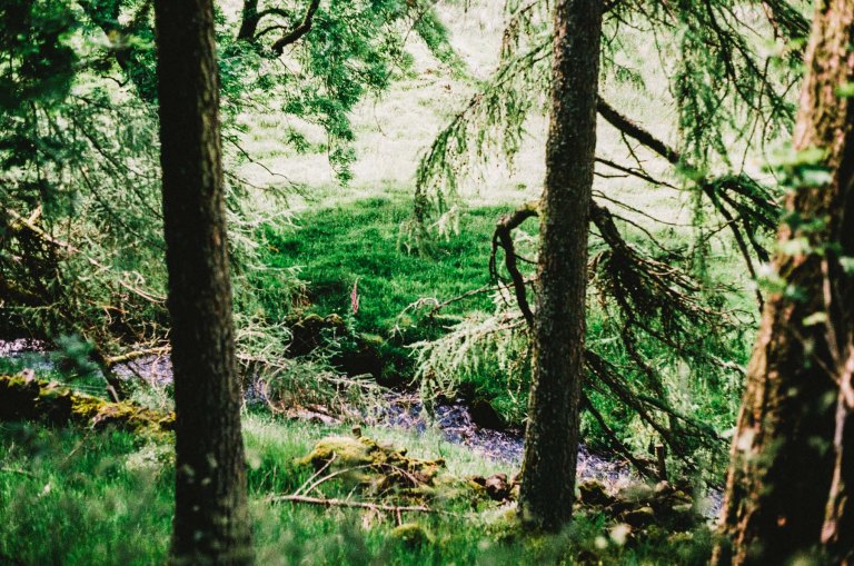 UK Trip Film_000020860025