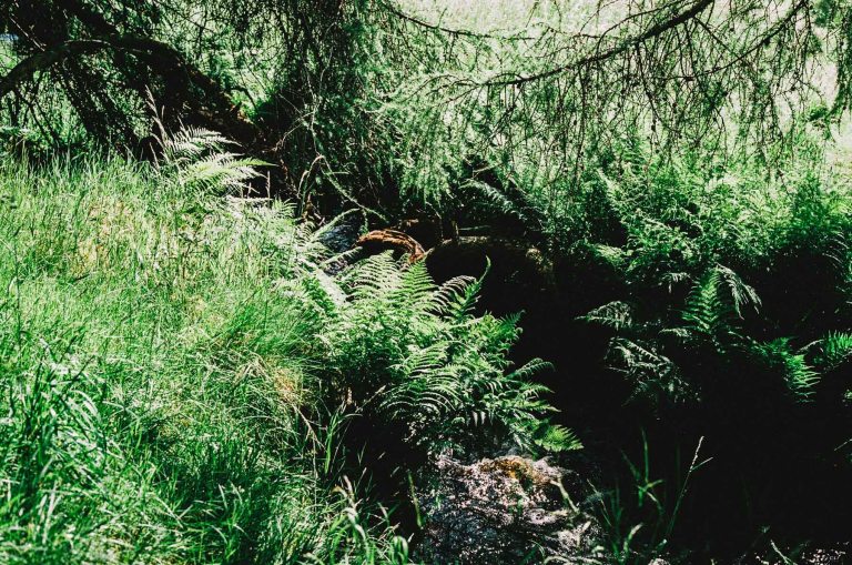 UK Trip Film_000020860028