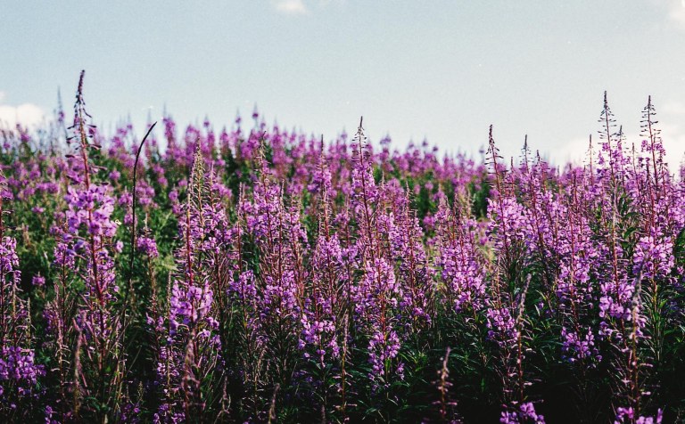 102015-uk-trip-film148