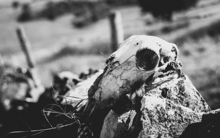 102015-uk-trip-film157