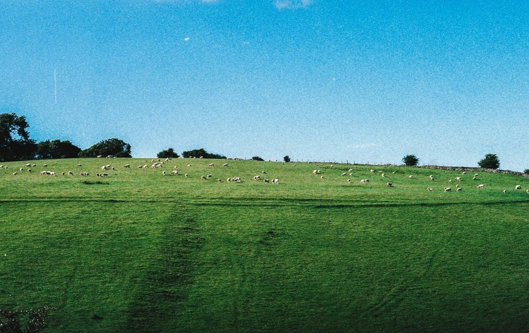 102015 UK Trip Film161.jpg