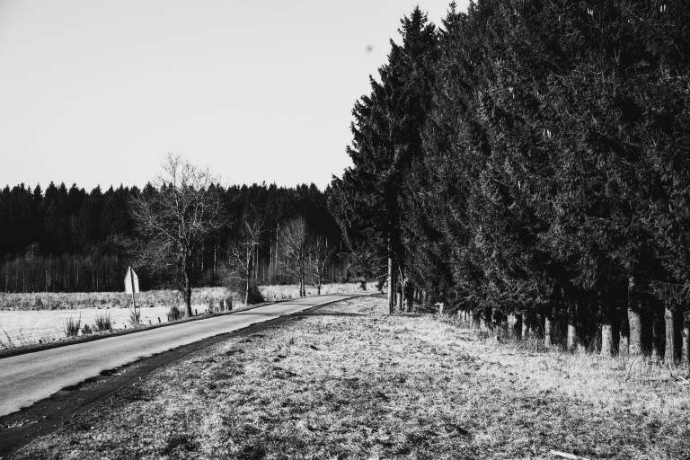 02142017 Belgium III_7598.jpg