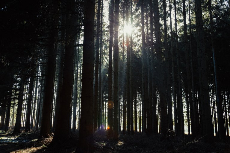 02142017-belgium-iii_7606