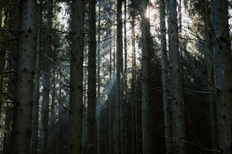 02142017-belgium-iii_7608