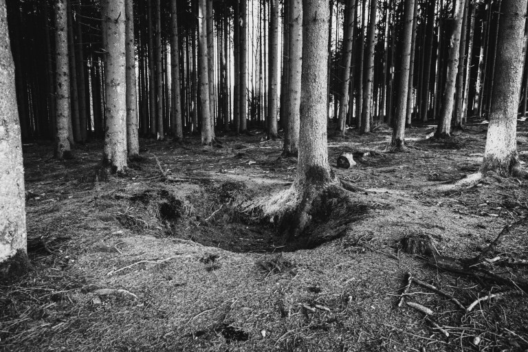 02142017 Belgium III_7642.jpg