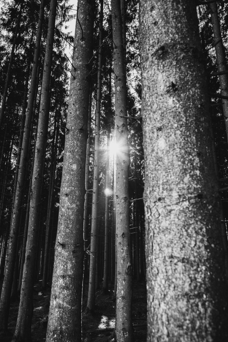 02142017-belgium-iii_7646