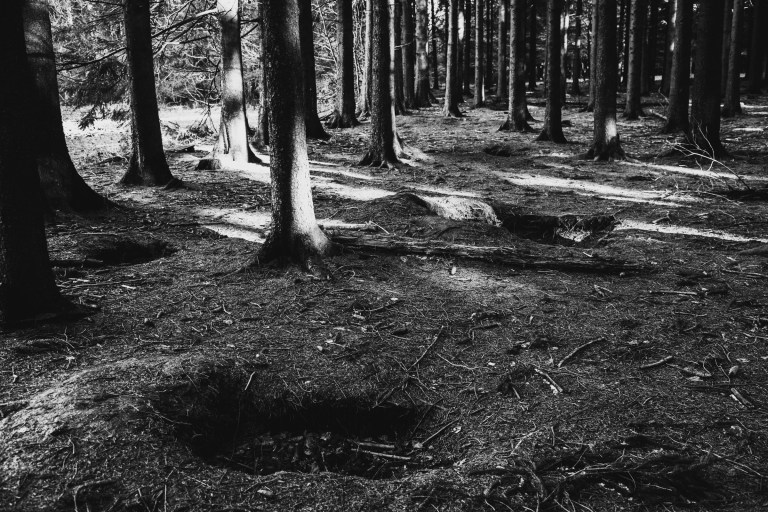 02142017-belgium-iii_7667