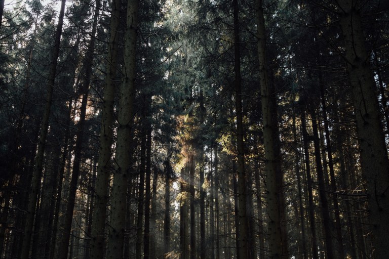 02142017-belgium-iii_7687