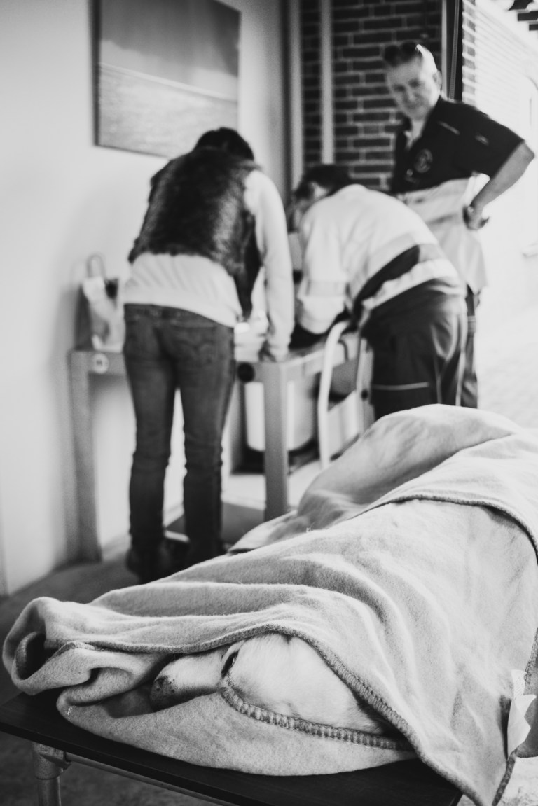 04132016 DAK2_4641.jpg