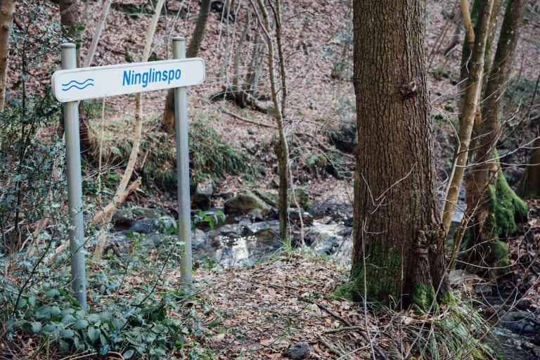 02152017 Belgium IV_7722