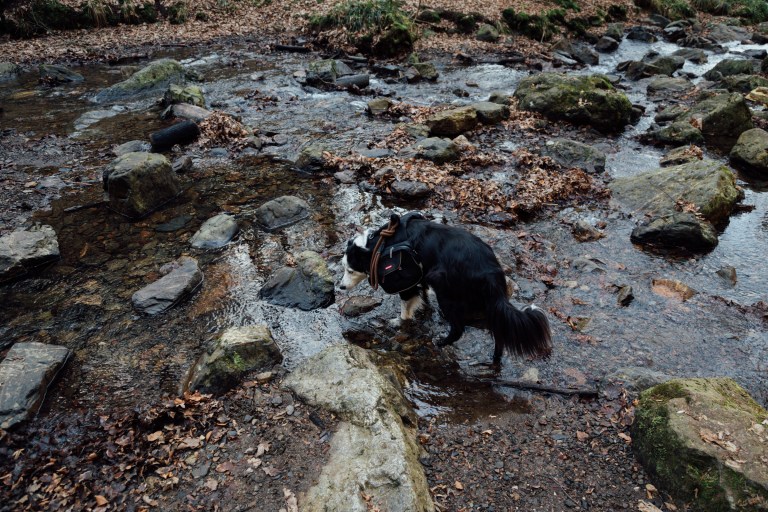 02152017 Belgium IV_7729